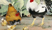 有望出头的3个生肖，努力上进，困难打不倒他