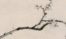 1997年生的23岁生肖属牛人2020年运势好吗， 感情下坡，财运顺遂