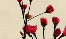 2020年1月7号出生的男孩如何八字起名，宜用字推荐