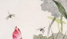 1998年生的22岁生肖虎人2020年运势好吗，感情美满，多升职加薪