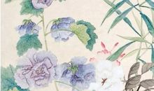 2020年11月10号出生的男孩起什么名字有涵义，五行属什么