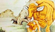 苦尽甘来，老来富贵，3生肖女中年财运顺遂，安享晚年