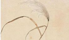 2020年农历三月十五出生的女孩是命好不好，怎么起名字有气质