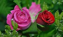 福泽深厚，命理藏财，未来5年大运加身，福旺事业旺的3大生肖