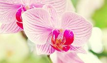 触动内心的春运经典，形象鲜活，愿你事业风水顺