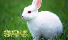 属兔时辰出生的命运