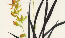 女孩取名：2020年11月20号出生的女孩结合古诗词取名字