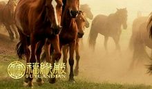 这些生肖配对最会赚钱