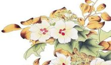 2020年4月30号出生的女孩起什么名字好，五行属什么