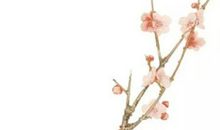 2020年4月29号出生的女孩怎么起名字，五行属什么