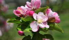 事业遇贵人，找准致富路！明年开始财运爆棚，富得流油的3大生肖