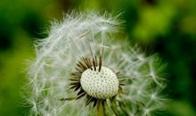 下周开始事业迎来转机，贵人帮扶，顺风顺水，鸿运加身的3生肖