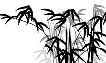 2020年阴历四月出生宝宝取名，结合出生时的生辰八字