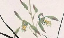 女孩取名：2020年11月19号出生的女孩参考四书五经取名字