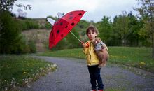 五行属木的名字大全