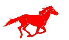 不同年份出生的属马人多少岁了？2020年属马的多大了？