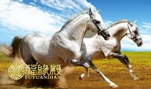 属蛇和属马的相配吗