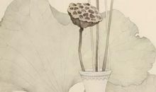 2020鼠年生的男孩取名，鼠宝宝取名禁用“猴”之字形