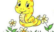 不同年份出生的属蛇人多少岁了？2020年属蛇的多大了？