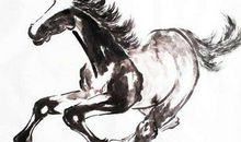 属马春节正月初一出生的人命运好不好 属马春节出生什么命？(图文)