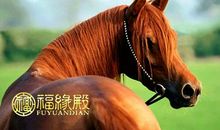 属马相冲的属相有哪些