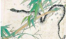 中年后，财气越来越旺的三个生肖！