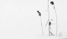 2020年生肖属鼠的每月运势，这几个月要注意