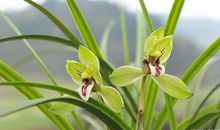 家，越明亮，风水越好！