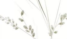 2020年二月出生的男宝宝起名，鼠宝宝取名喜有"夕"字