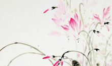 2020年生肖属狗的每月运势，3月和8月事业运不错