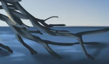 印堂平行纹代表什么