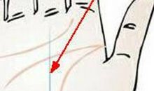 手相女事业线，事业线粗长代表生活劳碌