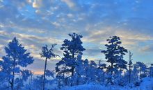 宋韶光2020年生肖属猪每月运程，一月化险为夷，六月健康亮起红灯