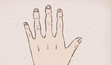 木型手图片 木型手长什么样子