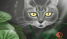 要走桃花运的前兆 桃花运风水