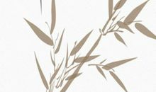 生肖属狗的男人2020年感情运，婚姻美满，生子添丁