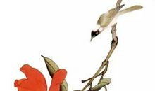 2020年2月生肖属狗人的事业运比较旺盛，受领导重用