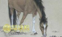 属马1978年什么命