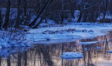 宋韶光2020年生肖属狗每月运程，六月稳中求进，十月得吉星辅佐