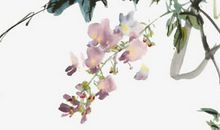 宋韶光解析2020年生肖狗事业运，事业平稳，有贵人相助方可出现机遇