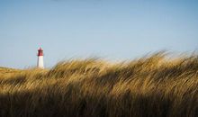 神叨酱一周塔罗运势（1.27-2.2）