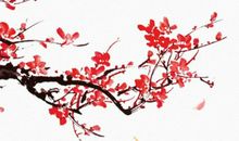 2020年2月生肖属鸡人的事业运，需坚持与努力