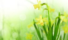 2月咸鱼翻身的3大生肖，吃香喝辣过上好日子！