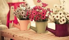 2020鼠年正月初四出生的男孩是什么命运？(图文)