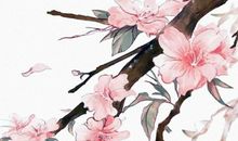 2020年2月生肖属猴人的事业运受三合太岁，如鱼得水