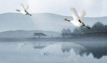 秦阳明解析2020年生肖猴桃花运，桃花运较好，但处理不当易变成劫难