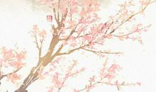 生肖属羊的男人2020年感情运，相互体谅方能长久