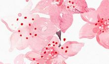 2020年2月生肖属羊人的事业运不乐观，做事一定要三思而后行