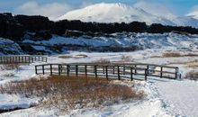 宋韶光2020年生肖属羊每月运程，三月财运平稳，十月收入可观