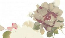 属马女生适合从事什么工作(图文)